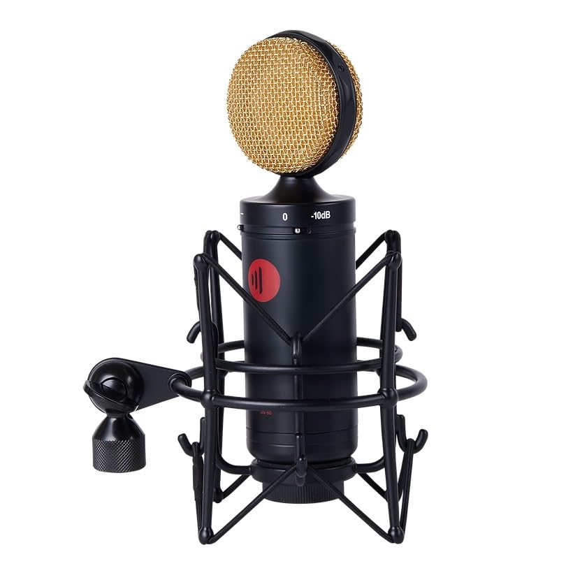 Amazon.co.jp: DS-60 ラージダイアフラム・コンデンサーマイク : 楽器